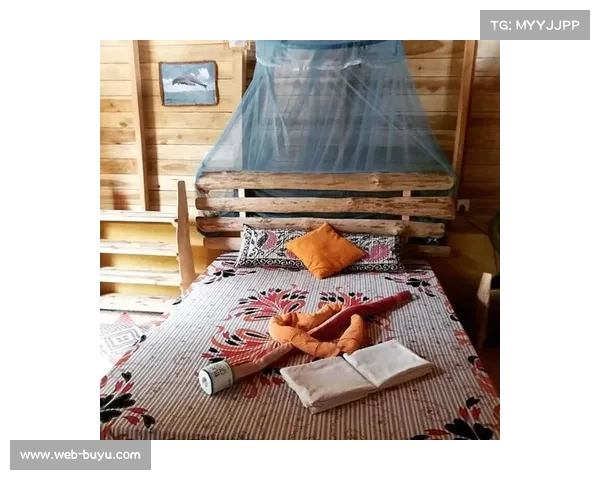 实时观赛系统如何提升F1观赛体验